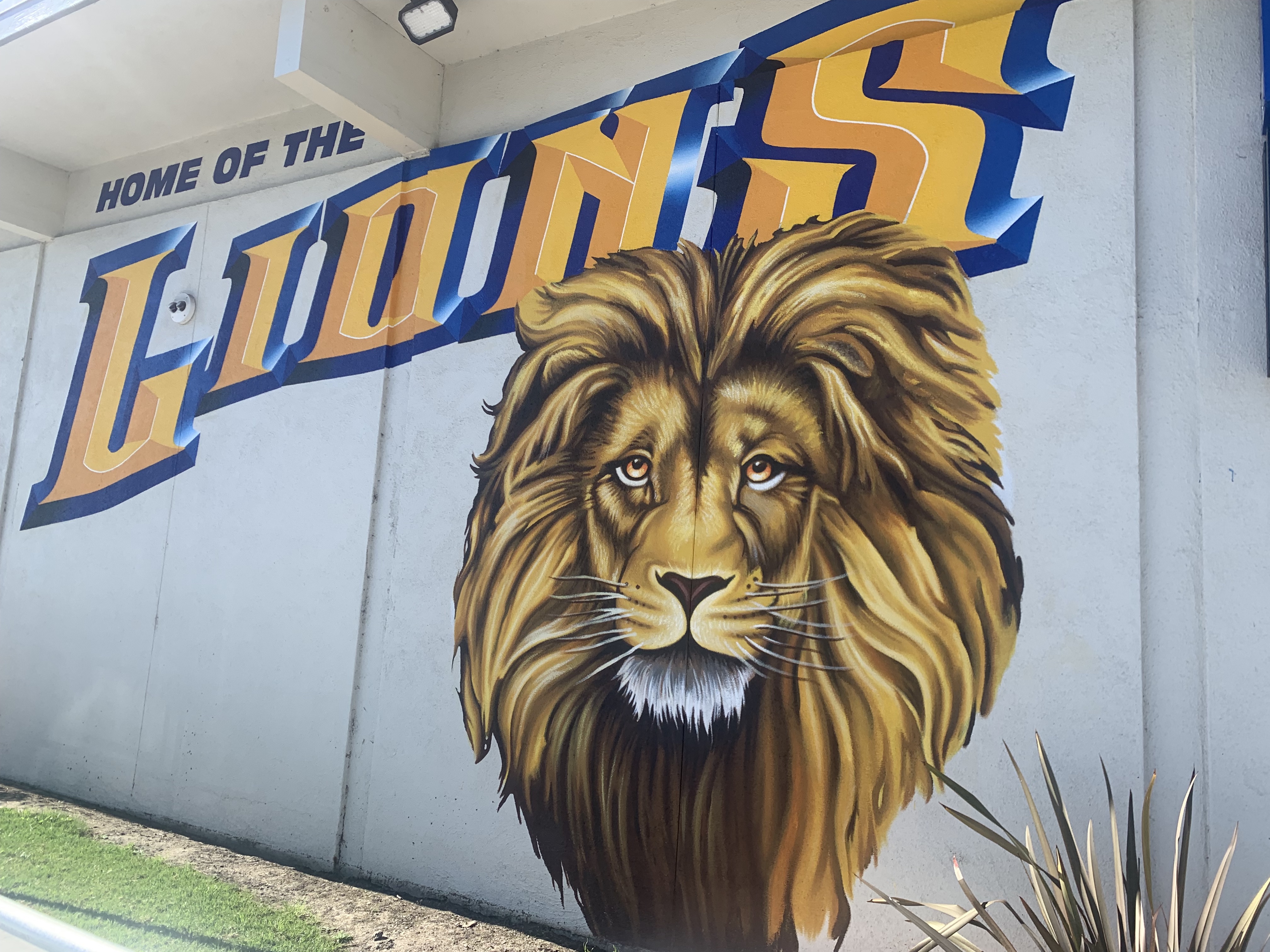 Barker new Lion Mascot mural