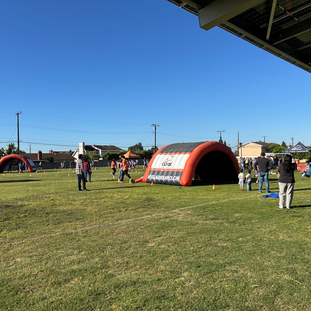 Apex fun run